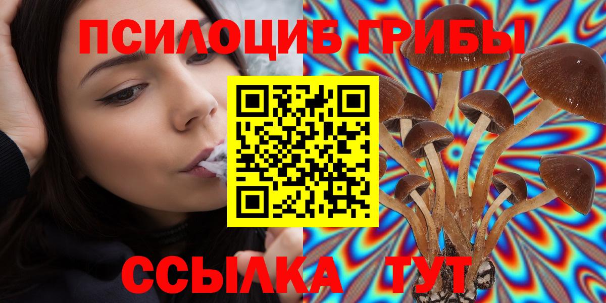 Галлюциногенные грибы мицелий Новосибирск