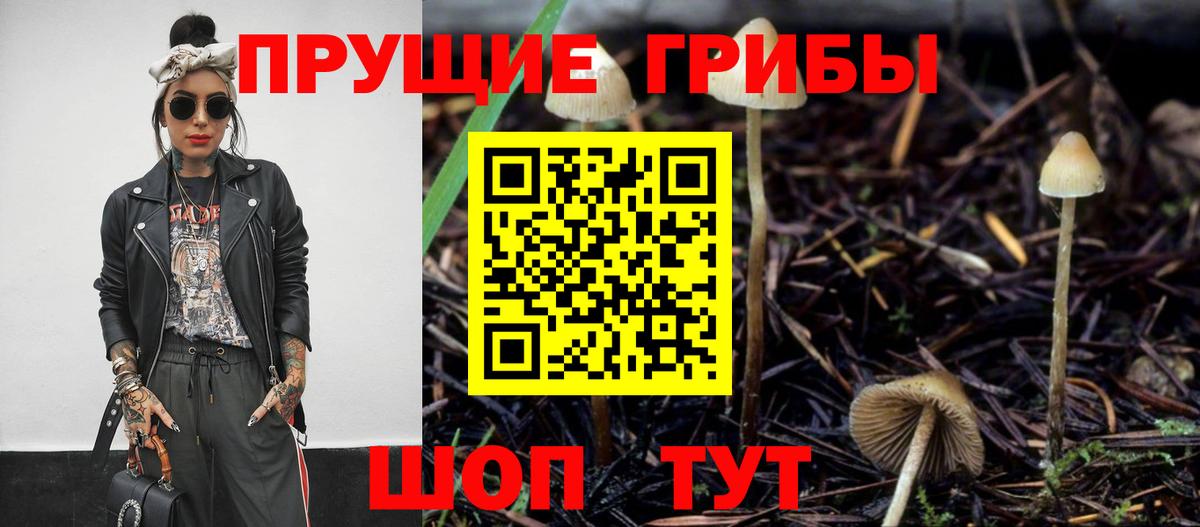 Галлюциногенные грибы Cubensis  Вход с VPN  Новосибирск 